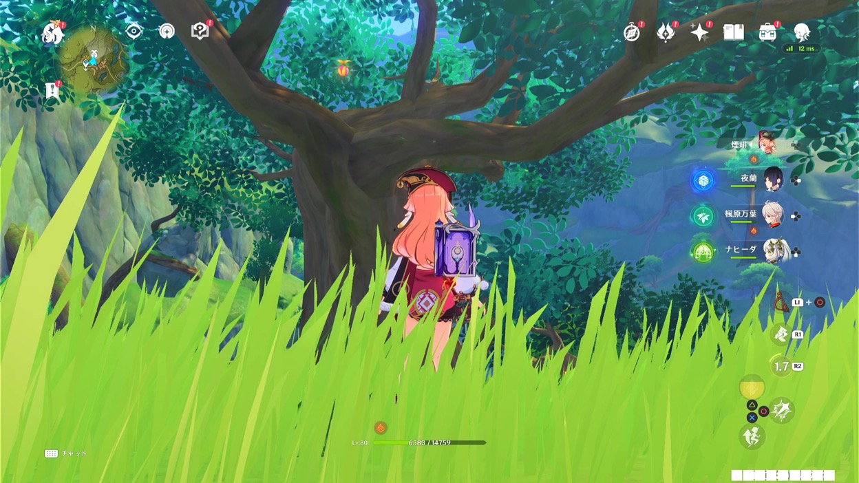 大樹の上のクーポンボックス