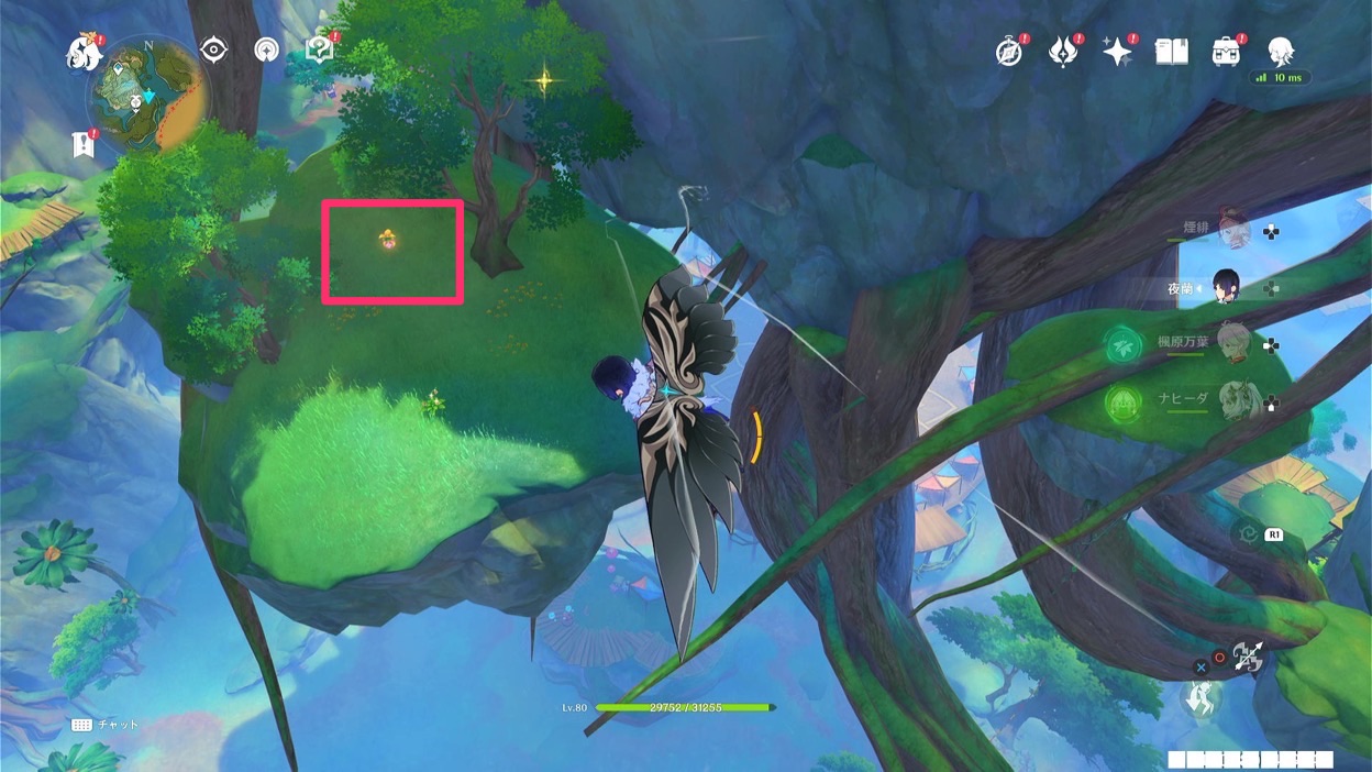 クーポンボックス