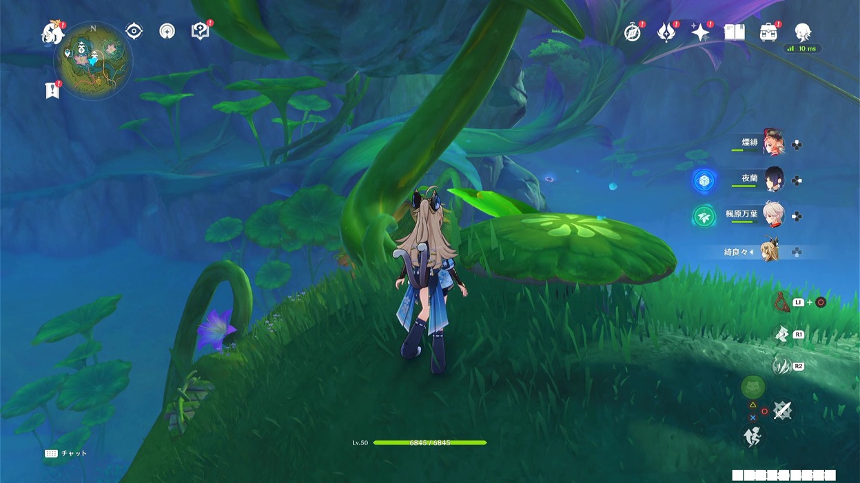 14-2クーポンボックス