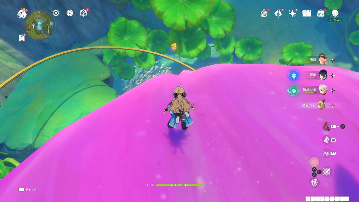 クーポンボックス