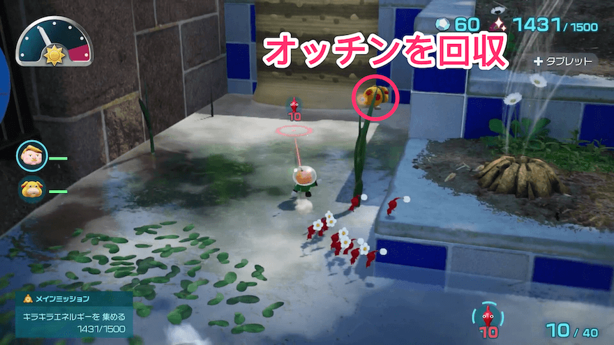 オッチンを回収