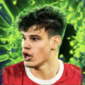 HPミロシュ・ケルケズ(07/06)画像