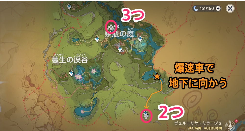 期間限定マップヴェルーリヤミラージュ内のカルパラタ蓮