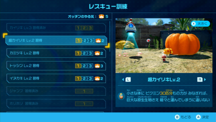 レスキュー訓練