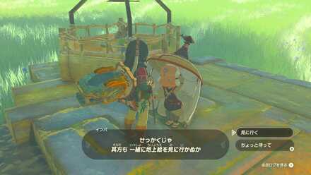 見に行くを選択