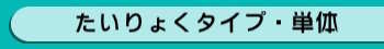たいりょくタイプ