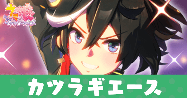 ［登竜之頂］カツラギエース