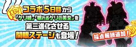 開眼のケリ姫バナー