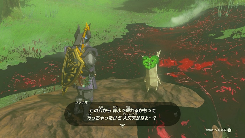 チロリの森の深穴の付近にいるコログ