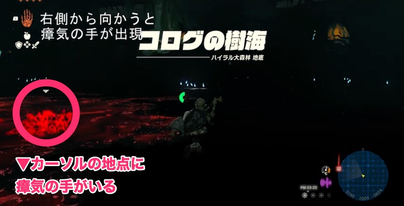 コログの樹海の瘴気の手