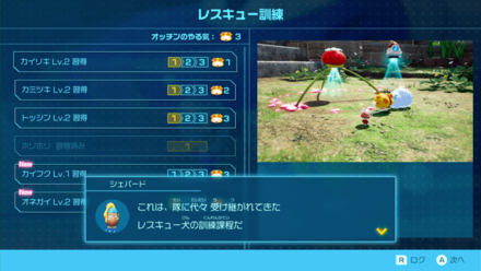 オッチンのレスキュー訓練