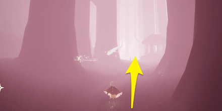 雨林の闇の破片