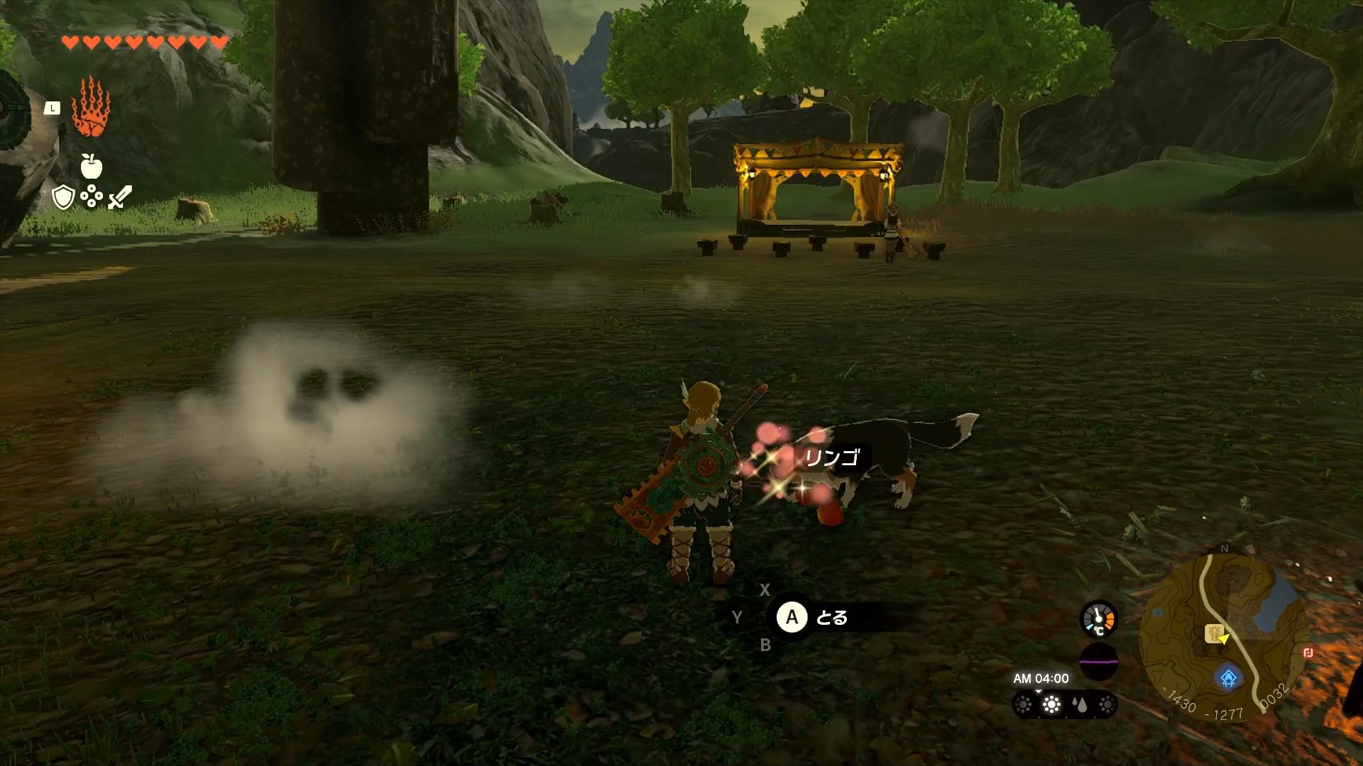 リンゴなどの果物や肉類をあげるとなつく