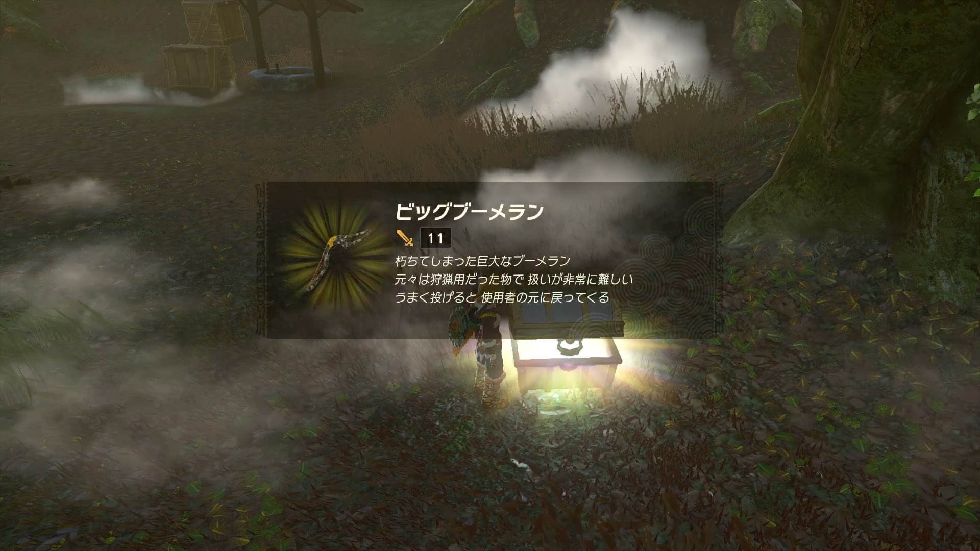 ビッグブーメラン