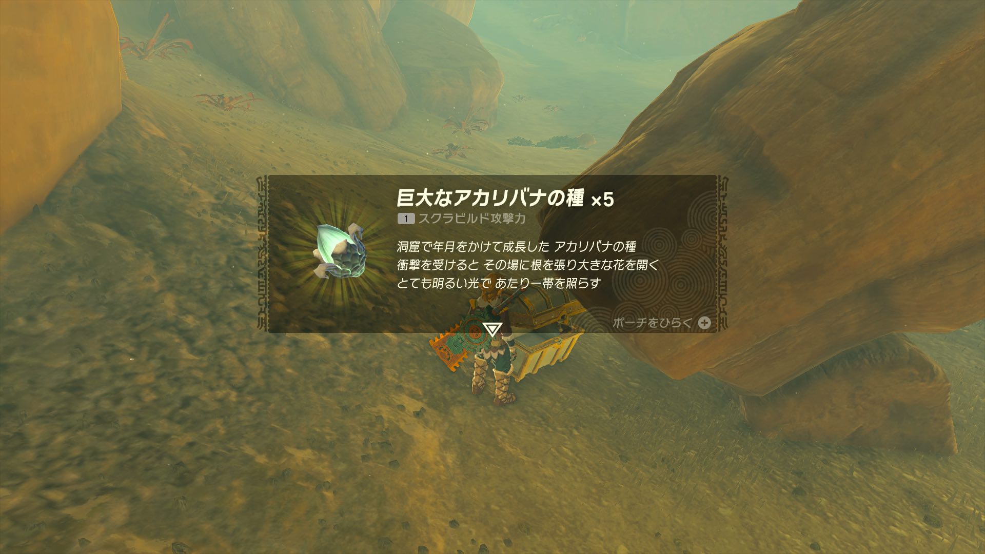 巨大なアカリバネの種x5