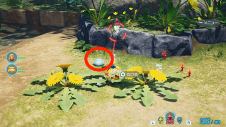 倒すとシザイを落とすことがある