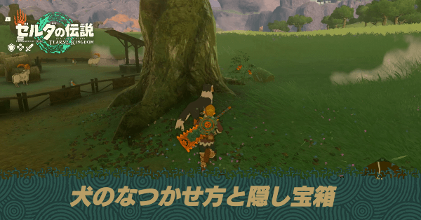 犬のなつかせ方と隠し宝箱の開け方