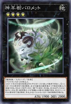 神羊樹バロメット画像