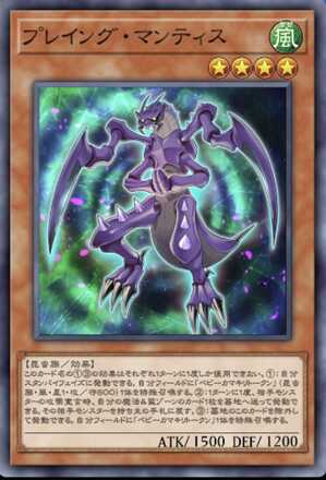 プレイング・マンティスの画像