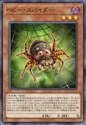 ベビー・スパイダー画像