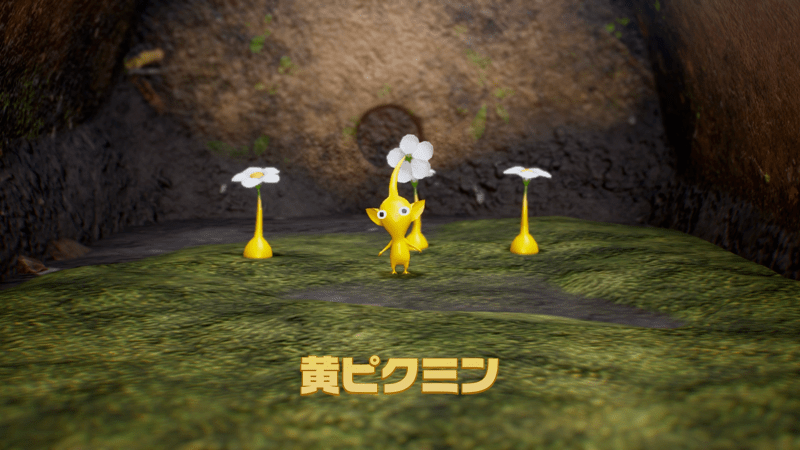 洞窟を探索してピクミンの種類を増やす