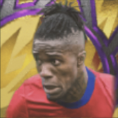 HPウィルフリードザハ(07/17)画像