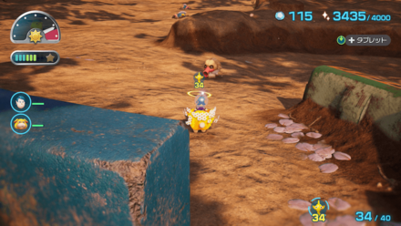 タコサンモドキの場所の見た目