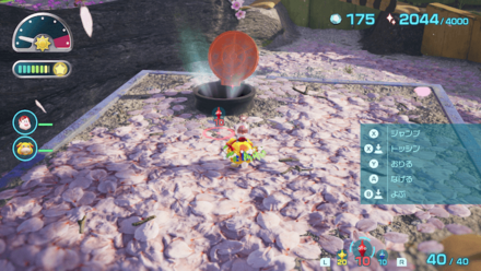 ダンドリチャレンジ