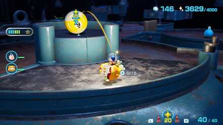 芯のタマの場所の見た目