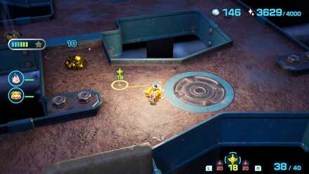 キンカイの場所の見た目