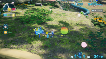 セイコウノモトの場所の見た目