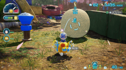 オミマイノミの場所の見た目