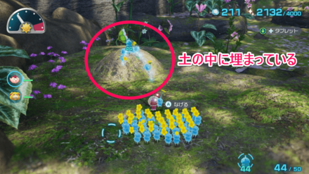 けだものの王国の場所