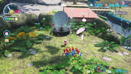 ダンドリチャレンジ