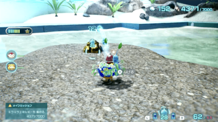 キンカイの入手場所