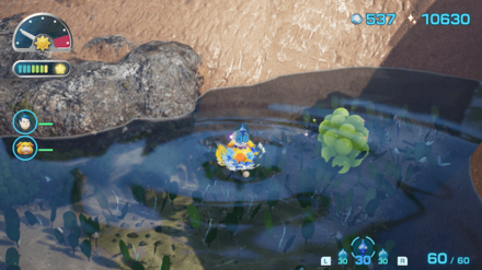 ミドリタワワの場所の見た目