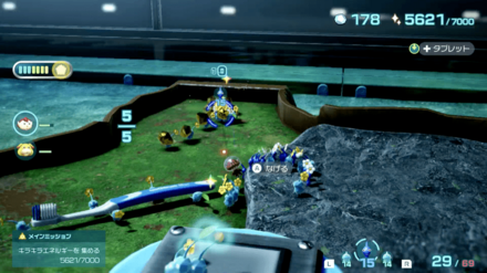 キンカイの入手場所