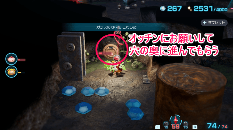 オッチンに柵を下ろしてもらう