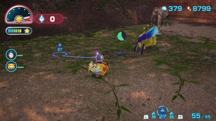 トキメキノミの場所の見た目