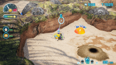 ハナシズクノミの場所の見た目