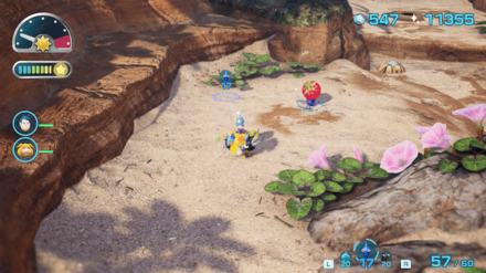 キーチゴノミの場所の見た目