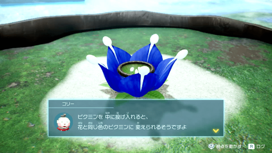 青ホンガシグサ