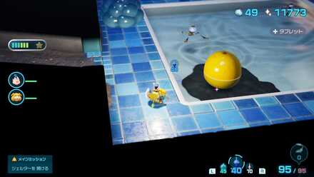 オオダマニガミバシリの場所の見た目