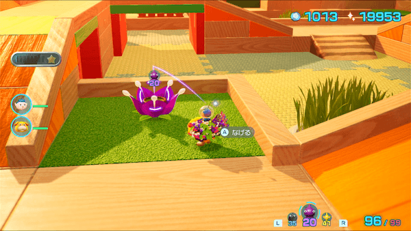 紫ポンガシグサ