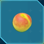 セイコウノモト画像