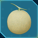 オミマイノミ画像