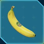 カワスベール画像