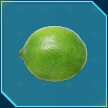 カボストニタリヨタリ画像