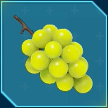 ミドリタワワ画像