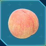 シリソックリ画像